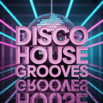 Disco House Grooves