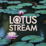Lotus Stream