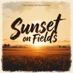 Sunset on Fields