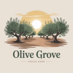 Olive Grove