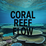 Coral Reef Flow