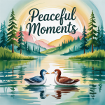 Peaceful Moments
