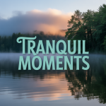Tranquil Moments