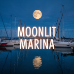 Moonlit Marina