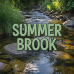 Summer Brook