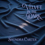 Velvet in the Dark