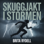 Skuggjakt i Stormen