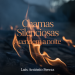 Chamas Silenciosas Acendem a Noite