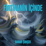 Fırtınanın İçinde