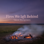 Fires We Left Behind
